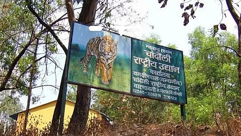 सांगली : चांदोलीचे पर्यटन तीन दिवस राहणार बंद