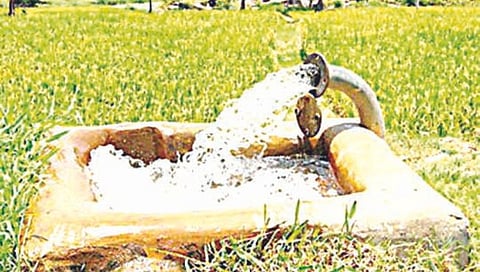 कृषिपंप,www.pudhari.news