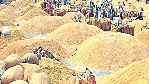 धान खरेदी घोटाळा,www.pudhari.news