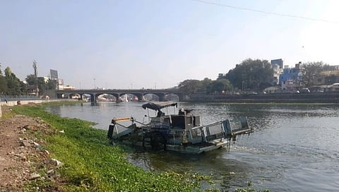 नाशिक : गोदापात्रातून सहा टन पाणवेली संकलित, महापालिकेतर्फे स्वच्छता मोहीम