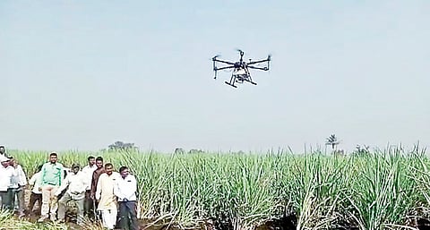 बावडा येथे ऊसपिकावर ड्रोनद्वारे फवारणी