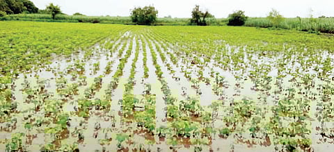 Sambhajinagar Jalna Rain Damage Fund