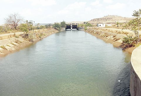 श्रीगोंदा : कुकडी, घोड कालव्याच्या पाण्याकडे डोळे; शेतीसाठी तातडीने पाणी सोडा