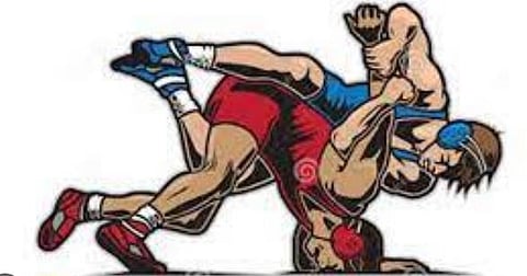 कुस्तीगीर परिषदेला धक्का ; शरद पवार यांच्या संघटनेची संलग्नता महासंघाकडून रद्द