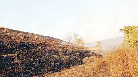 वेल्हे : भीषण आगीत हजारोंचा चारा खाक; प्रसंगावधानाने जीवितहानी टळली