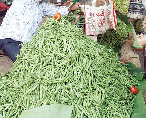 पुणे : परराज्यातील मटार स्वस्त; पंजाब, मध्यप्रदेशातून बाजारात 20 ते 25 ट्रक मटार दाखल