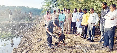 बाभूळसर बुद्रुक येथे मजूर महिलेच्या खुनानंतर घटनास्थळी आरोपीचा माग घेताना श्वान पथक व सोबत पोलिस अधिकारी.