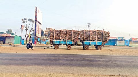 भांडगाव चौकातील बेशिस्त पार्किंग कोण हटवणार ?