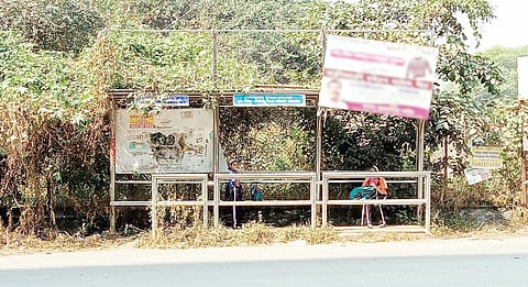 असून अडचण, नसून खोळंबा! पौडरोड परिसरातील पीएमपी बसथांब्यांची स्थिती