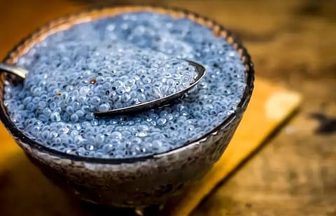 दररोज सकाळी घ्या सब्जा बी, होतील ‘हे’ आश्चर्चकारक लाभ | Basil seeds