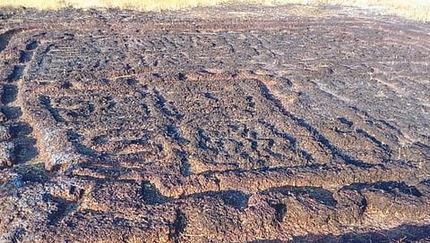 सिंधुदुर्ग : वानिवडेत सापडले मोठे कातळशिल्प