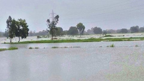 बेळगाव : अधिवेशनात बळ्ळारी नाल्याबाबत ब्रसुद्धा नाही; शेतकर्यांचा भ्रमनिरास
