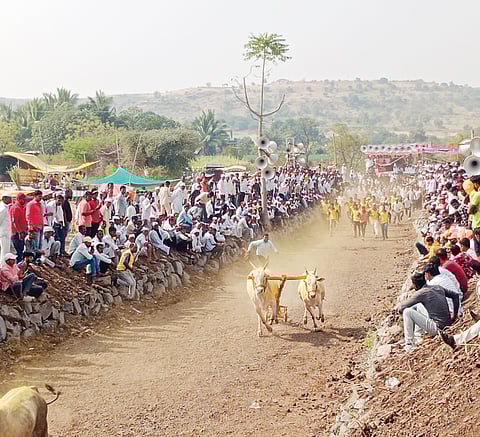 जवळा : सांगवीसूर्यात बैलगाडा शर्यतीचा थरार