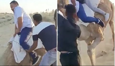 Funny Viral Video : उंटावरील दोन ‘शहाणे’… एकाचवेळी उंटावर बसले आणि पुढे… तुम्हीच पाहा (व्हिडीओ)