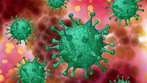 कोरोना विषाणू