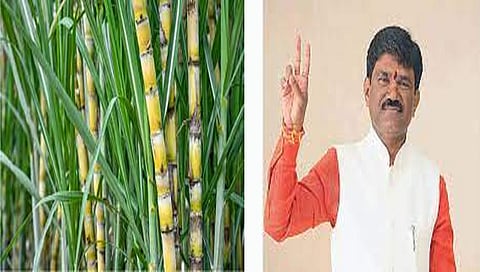 खासदार हेमंत गोडसे : नासाकाकडून 582. 87 लाख ऊसाचे पेमेंट शेतकऱ्यांच्या खात्यावर वर्ग