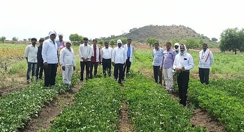 हिंगोली : सुक्ष्म सिंचनात मरसुळ ठरतेय रोल मॉडेल, दोन वर्षात संपूर्ण गाव ओलिताखाली