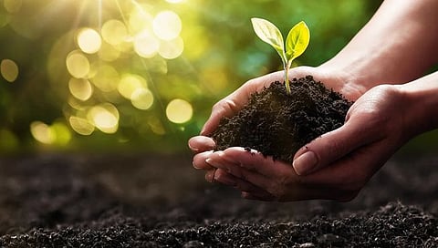 World Soil Day : ‘माती : जेथे अन्न सुरू होते’…