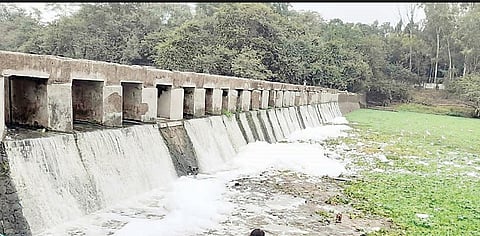 पिंपरी : पवना नदीपात्रात पुन्हा आढळले मृत मासे