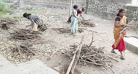 लाकूडफाटा गोळा करून कुटुंबाचा निर्वाह; घरगुती सिलिंडरचे भाव वाढल्याने गरिबांची होरपळ