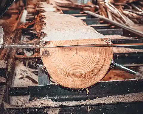 नगर : विनापरवाना आरागिरणी बंद !