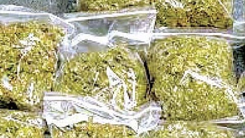 रत्नागिरी : चायनीज सेंटरवर गांजाची विक्री; झाडगाव-परटवणे नदीकिनारा ठिकाणी पोलिसांची धडक कारवाई