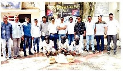 सांगलीत १२ किलो गांजा जप्त; तिघांना अटक
