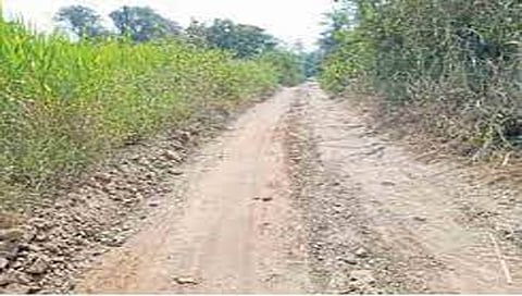 नाशिक : पाणंदच्या रस्त्यांची कासवगतीने वाटचाल; मंजूर कामांची संंख्या ९९५, सुरू मात्र ७७