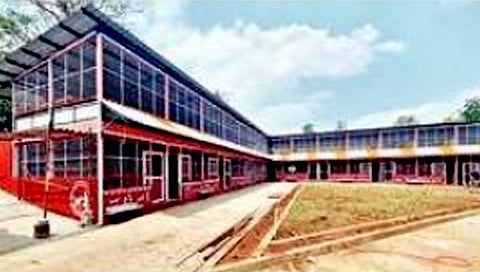 कोल्हापूर : कणेरी मठ येथे राज्यातील पहिली भटक्या कुत्र्यांची शाळा; ४०० भटक्या कुत्र्यांना आश्रय