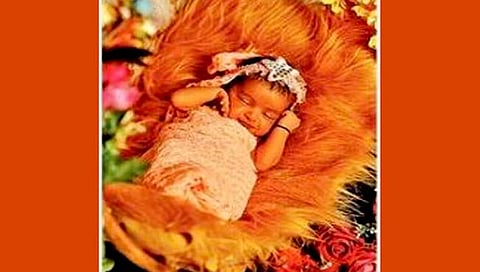 औरंगाबाद : मुलगी झाली-समृद्धी आली; लेक झाल्याचा असाही साजरा केला आनंद