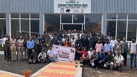 Amravati : मेळघाटात पक्ष्यांच्या दहा नवीन प्रजातींची भर : २१० प्रजातींच्या पक्ष्यांची नोंद