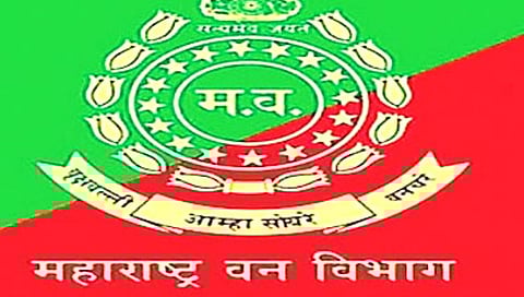 भंडारा : वनपरिक्षेत्रात परवानगीशिवाय कॅम्पिंग करणाऱ्या १४५ तरुण-तरुणींना माघारी धाडले