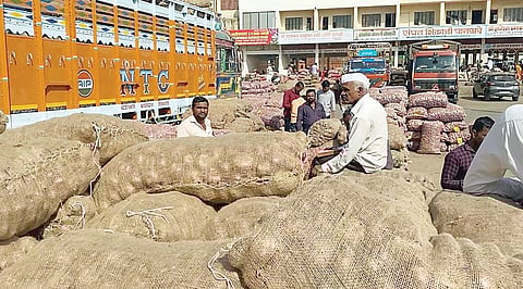 कांदा उत्पादक शेतकऱ्यांना 466 कोटी रुपये अनुदान : पणन मंत्री अब्दुल सत्तार यांची माहिती