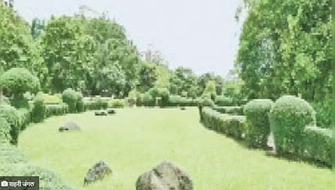 मरोळ येथे उभे राहणार जंगल.. मुंबई महापालिकेचा निर्णय