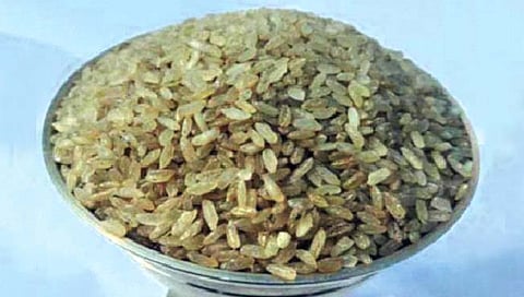 Rice : आसामचा ‘मॅजिक राईस’ खाल्ला का? शिजवण्याची गरज नाही फक्त थंड पाण्यात भिजवा अन् भात तयार!