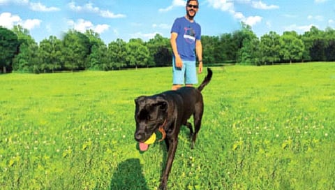 मायकेल जोसेफ याने शिक्षकाच्या नोकरी सोडली आणि चक्क कुत्र्यांना फिरवण्याचे काम पत्करले.