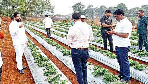 मुख्यमंत्री एकनाथ शिंदे दोन दिवस दरे मुक्कामी