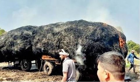 बेळगाव : जानेवाडीत शॉर्ट सर्किटने गवतासह ट्रॅक्टर ट्रॉली भस्मसात