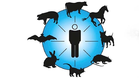 संशोधन : मानवी अस्तित्वाला आव्हान देणारं ‘झुनॉसिस’