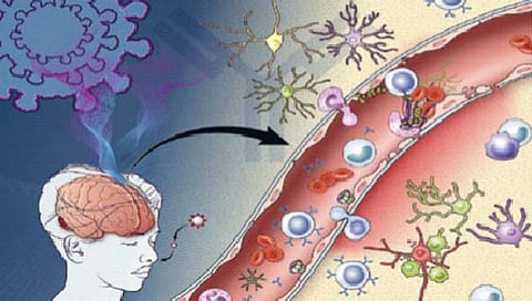 Corona : ‘कोव्हिड-19’ नंतर वाढू शकते पुरुषांची रोगप्रतिकारक शक्ती