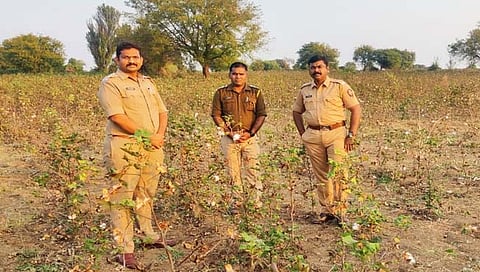 औरंगाबाद : पाडळी येथील धडावेगळे केलेले शीर पोलिसांना अथक प्रयत्नानंतर अखेर सापडले