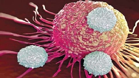 ‘कॅन्सर’भान : आपले आणि अमेरिकेचे