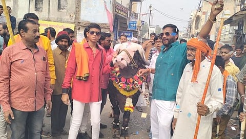 Aurangabad : रेड्याचा वाढदिवस धुमधडाक्यात साजरा! महागातला केक अन् ७०० जणांचे जेवण