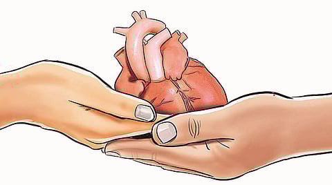 पुणे : वर्षभरात 46 दात्यांनी केले अवयवदान