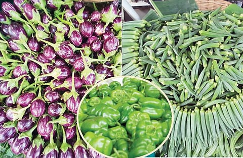 पुणे : वांगी, भेंडी, ढोबळी मिरची महागली; थंडीमुळे फळभाज्यांच्या उत्पादनात घट
