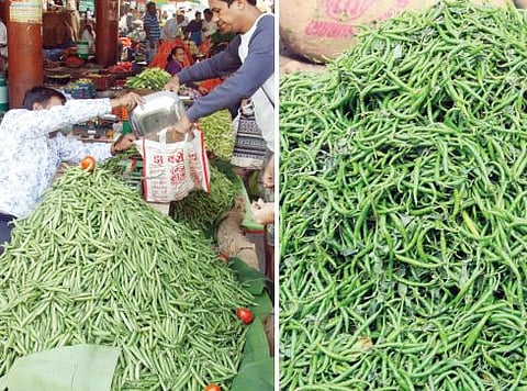 हिरवी मिरची, पावटा महागला; मार्केट यार्डात आवक घटल्याचा परिणाम