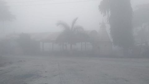 नाशिक जिल्ह्यावर धुक्याची चादर,www.pudhari.news