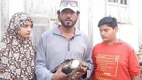 पक्षाीमित्र नाशिक,www.pudhari.news