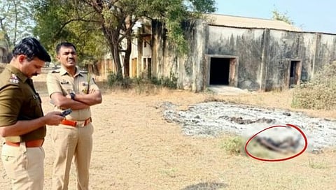 जळगाव,www.pudhari.news