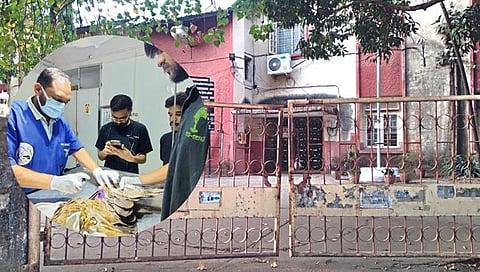 पशुवैद्यकीय दवाखाना,www.pudhari.news